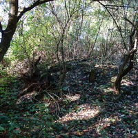 am Aufstiegsweg Auberg 363m