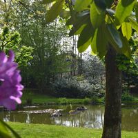 Der Seerosenteich in Rotensol lädt ein zu einer kleinen Rast.