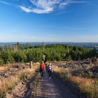 Martinshardt wandern