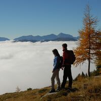 Leppner Alm - Weneberger Alm