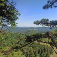 Blick vom Zwischenplateau auf die Ruine Starhemberg