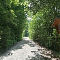 Niederau Möslalm Forststraße Wörgl Wildschönau Tourismus GeWi.jpg