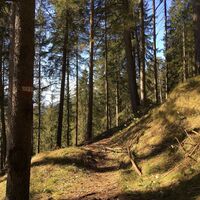 Entlang des Weges