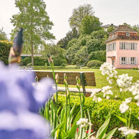 Gartenhaus Prinzengarten Lila Blüte im Vordergrund