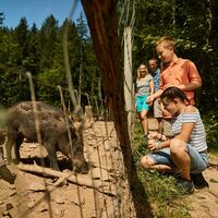 Wildgehege Bad Säckingen