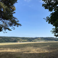 Ausblick