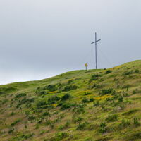 viel Blauer Eisenhut rund ums Gipfelkreuz