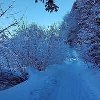Winterwanderweg von Alberschwende nach Egg