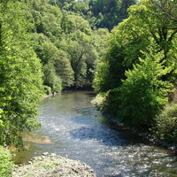 Wupper in Solingen-Burg