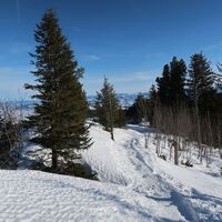 Schneeschuhtrail-Panoramawegtrail