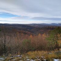 Blick in Richtung Landgrafenschlucht