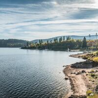 Ufer Schluchsee