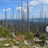 NWKW_II_Tag14_Ploeckenstein_0544
