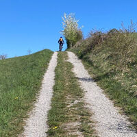 Anstieg zum Andreashof
