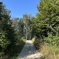 Weiter am Weg Richtung Jägerwiese
