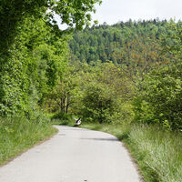 Tierischer Wanderer
