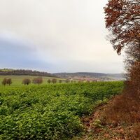 Wanderung Lamspringe Großer Heber