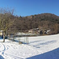 Troiana