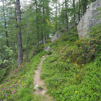 A119 Balme-Pialpetta