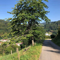 Spaziergang "Kalvarienbergkapelle" in Zell im Wiesental