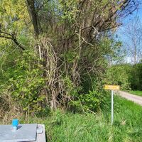 Wegkreuzung zur Siedlung Mühlberg