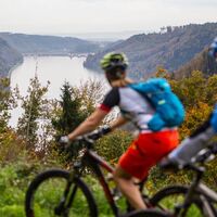 Blick auf die Donau in St. Martin im Mühlkreis