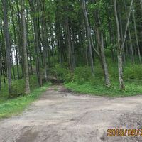 Aufstieg Bereich Kienberg