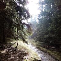 Steyersberger Schwaig - Schöberlrigel - Umschussriegel