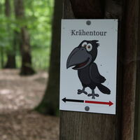 Beschilderung "Streifzug durch das Waldgebiet "Krähe"