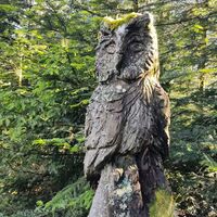 Wächter am Wehrhalder Grenzweg