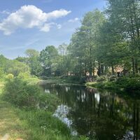 3-Teich-Bispingen-4-ccbysa-foto©bispingen-touristik-min.jpeg