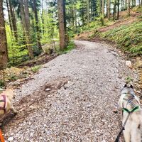 Wanderung Oberwarngau Taubenberg