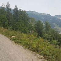 Blick hinüber zum Gamsstein