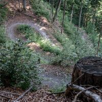 Rundtour Bonaduzer Wald 256