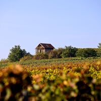 Weinbergshaus bei Bockenheim