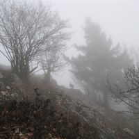 Gaisstein und Kieneck