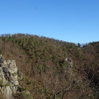 Abstieg am Vogelbergsteig