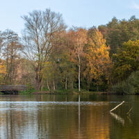 Brücke am Borner See
