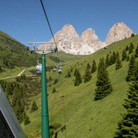 Rode Line - Fassa Bike Park Campitello - ©Archivio APT Val di Fassa