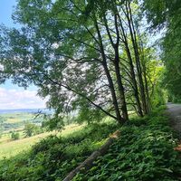 Wandern auf dem Heubergweg