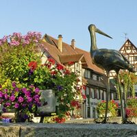 Riedlingen