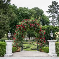 Das Rosarium im Kurpark Bad Sauerbrunn