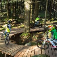 Trail Ride District Schonach
