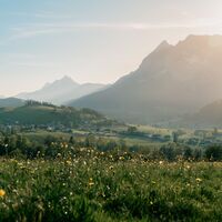 52 - ritzmannsdorf-tachenberg-weg-7 © Christoph Lukas (2025-06).jpg