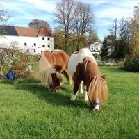 Ponyhof Isenburg