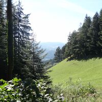 ..wieder unten im Tal...