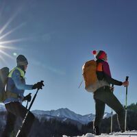 Sehr schöner Blick auf die Seckauer Tauern