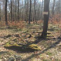 Hügelgrab nahe der Wacholderheide Strüth-'Welterod