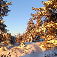 Todtmoos Schneeschuhtour Panoramatrail 9