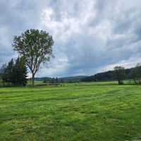 Typische Wiesenlandschaft der Medebacher Bucht